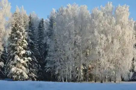 Раздобарино - 32
