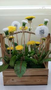 Усадьба Мосоловых - 47