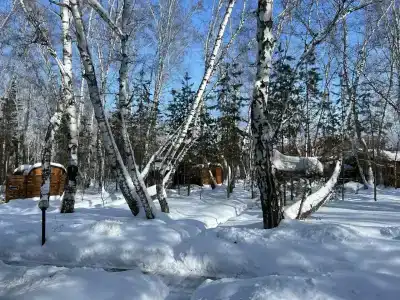 ForestHouse Лесной домик - 37