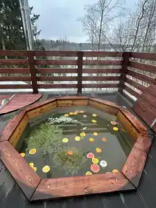 Елизарово - 30