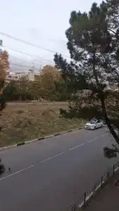 Парма - 2