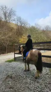 Круглое Озеро - 71