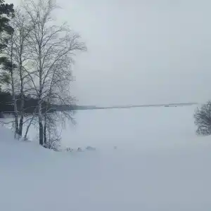 Бузим Красноярск - 59