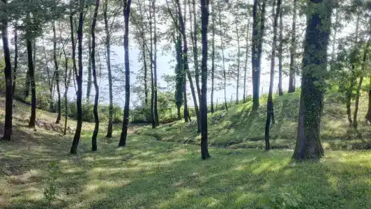 Радуга - 19