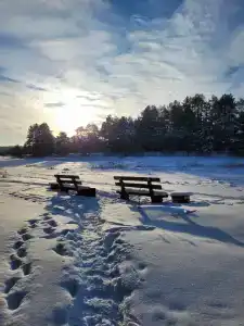 Суеты. нет - 5