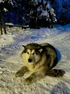 Русская Лапландия - 10