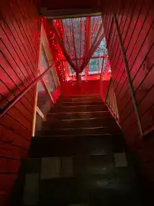 Берлога - 1