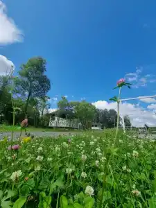 Спа-Сад Растущих Камней - 51