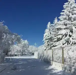 Сулакский Каньон - 18