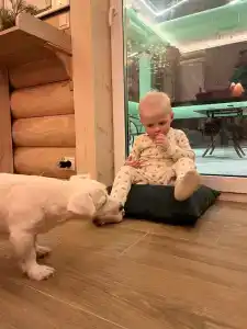 Усадьба Сорочаны - 15