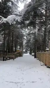 Дом для отпуска на Лесной - 5