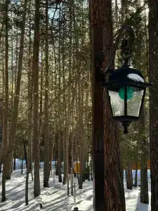 Поворот - 24