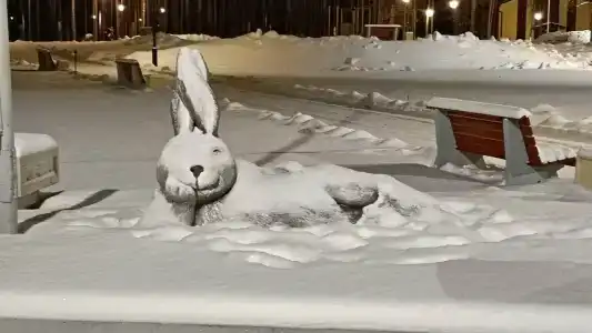 Санаторий-профилакторий БАЭС - 20