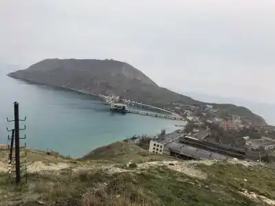 Магнолия - 29