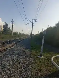 Гаузский - 20