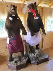 Золотой Ручей - 62