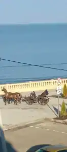 Звезда - 26