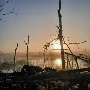 Раздобарино - 41