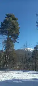 Эко-Хаус - 29