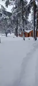 Горное эхо - 39