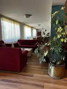 Pfa - Isola d'Elba - 34