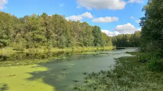 Улыбышево - 43