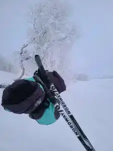 Канентъявр - 97