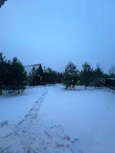 Forest camp - 27