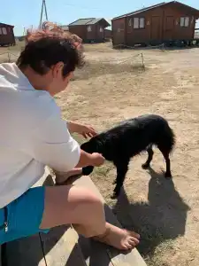 Оленевка Village - 25