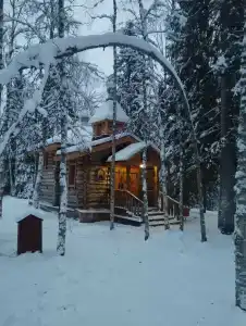 Лесная - 41