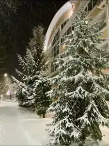 Энергетик - 2