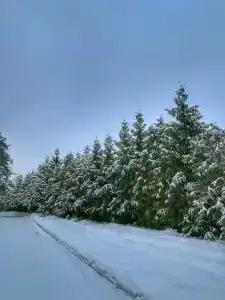 Детский санаторий Поляны - 69