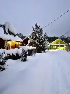 Велесов лес - 6
