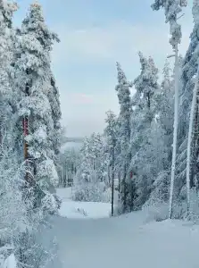 Красное Озеро - 15