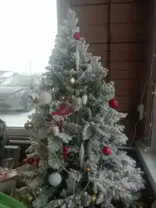 Старший сын - 9