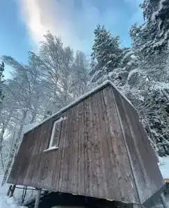 Птички кемп - 0