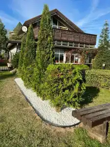 Елизарово - 49