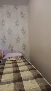 Ёлочка - 30