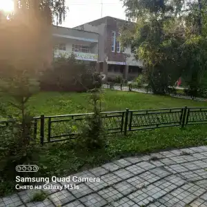 Лесное озеро - 25