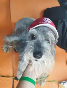 Петровский Лес - 33