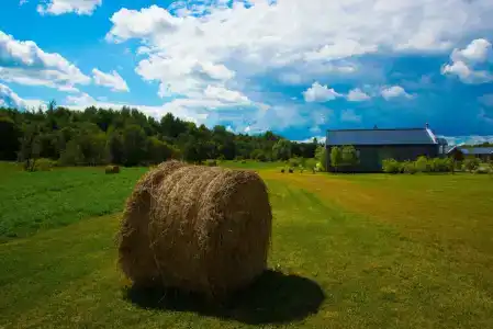 Новое Волосово - 41