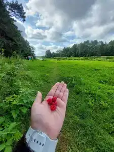 Суеты. нет - 15