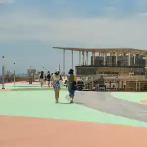 Астерия Меганом - 25