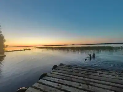 Ковжа - 18