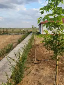 Две реки - 12