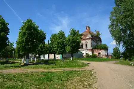 Лес среди болот - 22