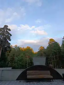 Аленушка - 78