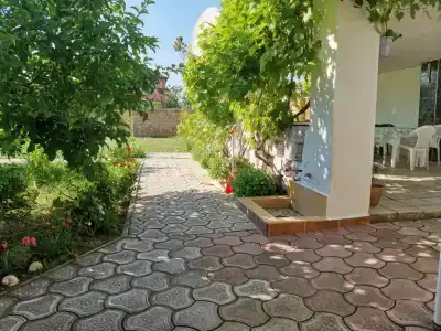 Лонисера - 0