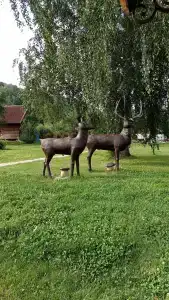 Лесная сказка - 26