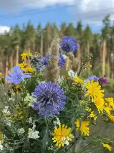 Сосенки Lounge - 8